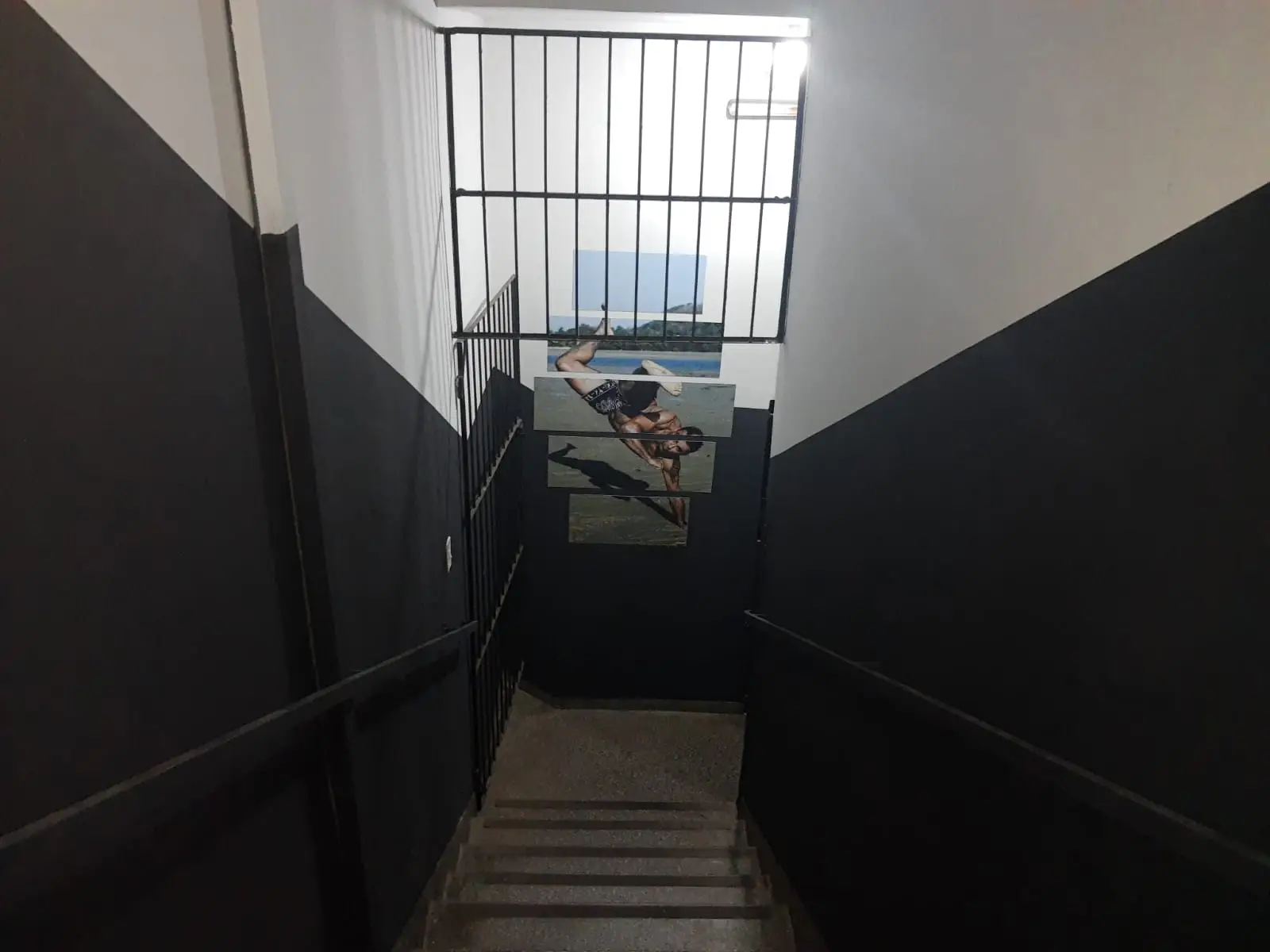 Estrutura da Academia 11