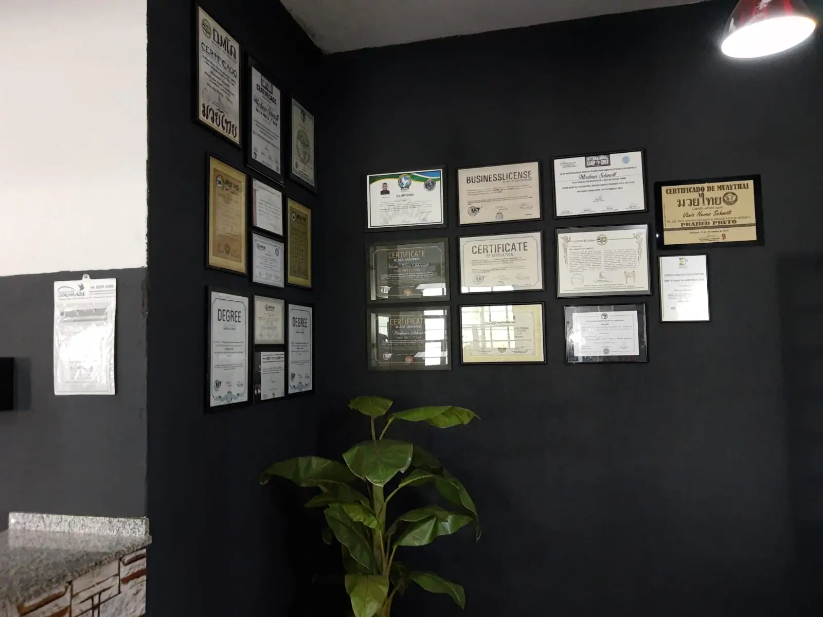 Estrutura da Academia 18